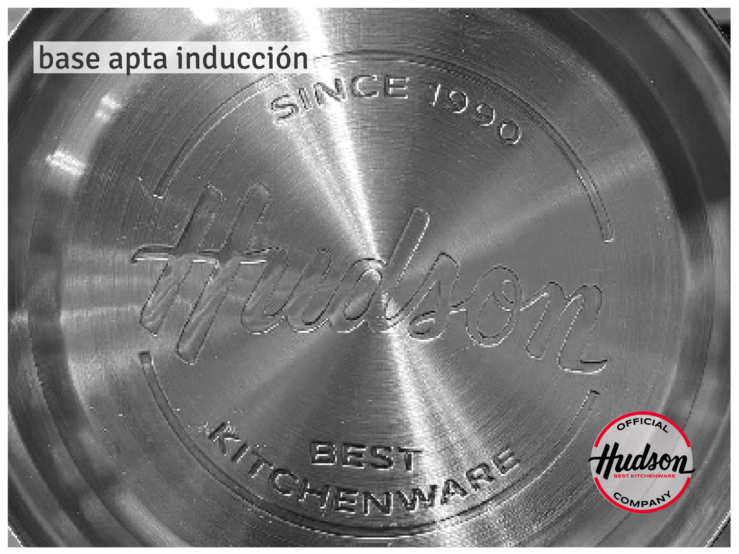 Caldera Pico Cisne Hudson Acero Inoxidable Pava 1.5 Litros